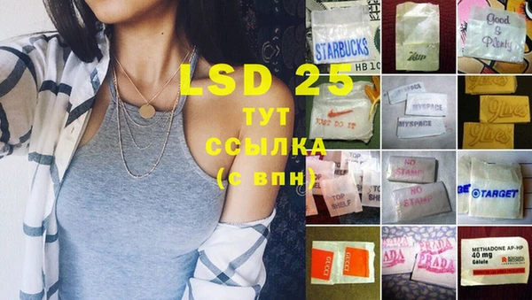 spice Богданович