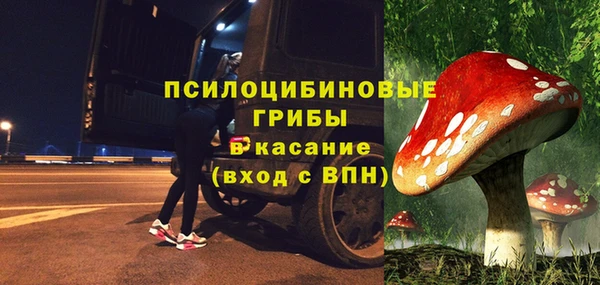 spice Богданович
