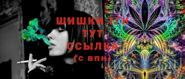 spice Богданович