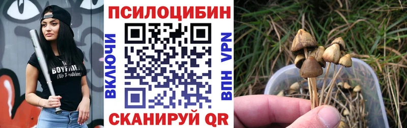 Псилоцибиновые грибы прущие грибы  blacksprut зеркало  Южноуральск 